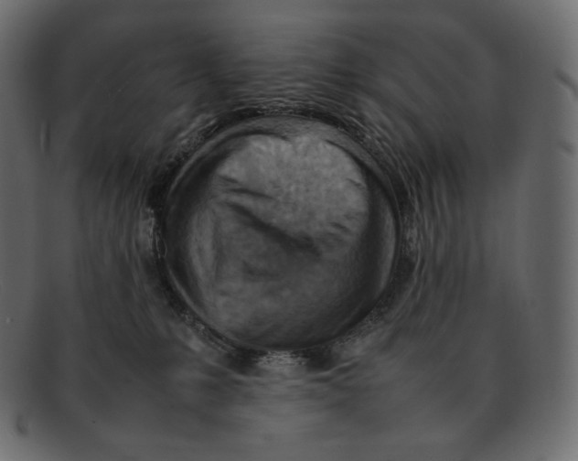 X0000092050231200710101021