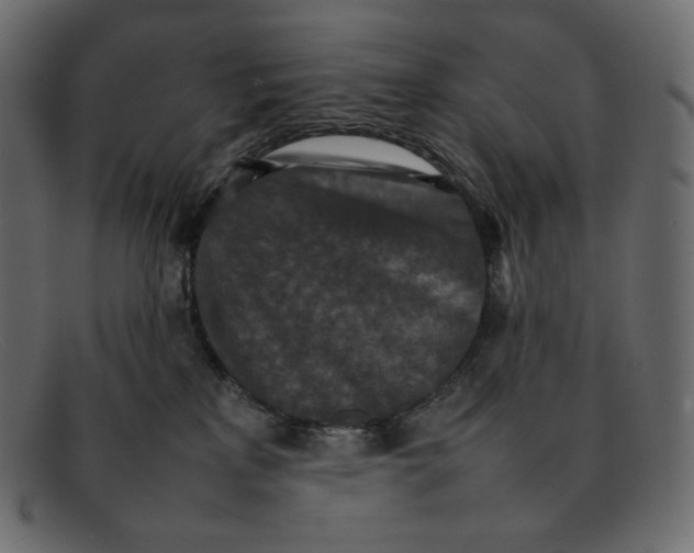 X0000092050233200710101021