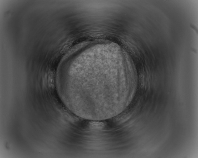 X0000092050234200710101021