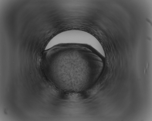 X0000092050235200710101021