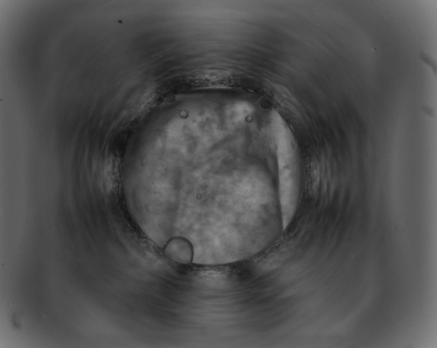 X0000092050236200710101021