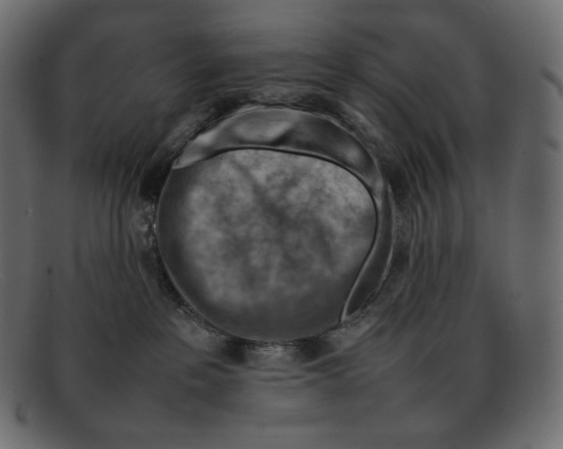 X0000092050237200710101021