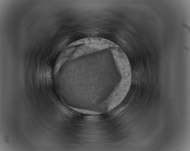 X0000092050238200710101021