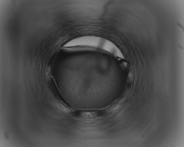 X0000092050239200710101021