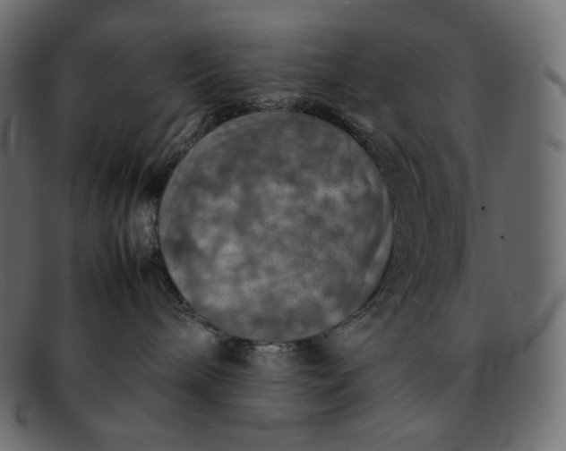 X0000092050240200710101021