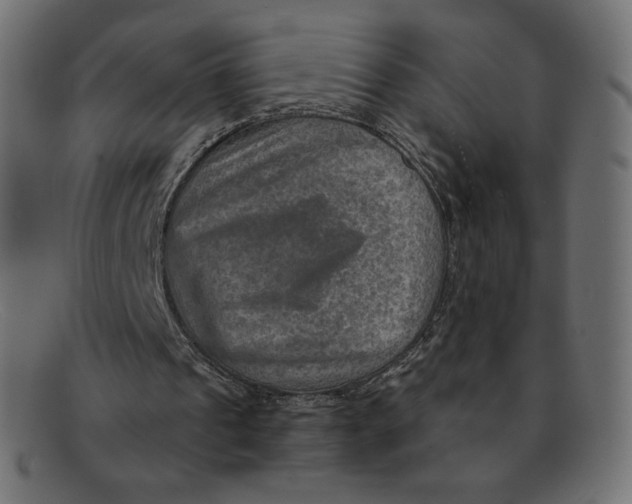 X0000092050241200710101021