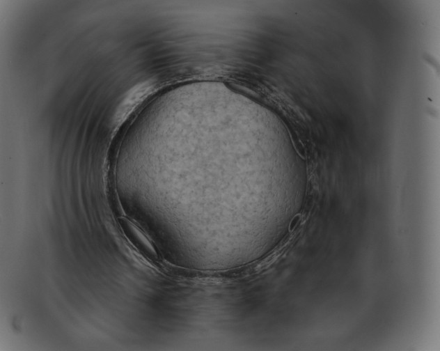 X0000092050242200710101021