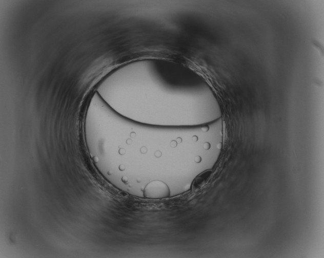 X0000092050243200710101021