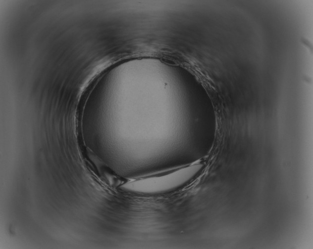 X0000092050244200710101021