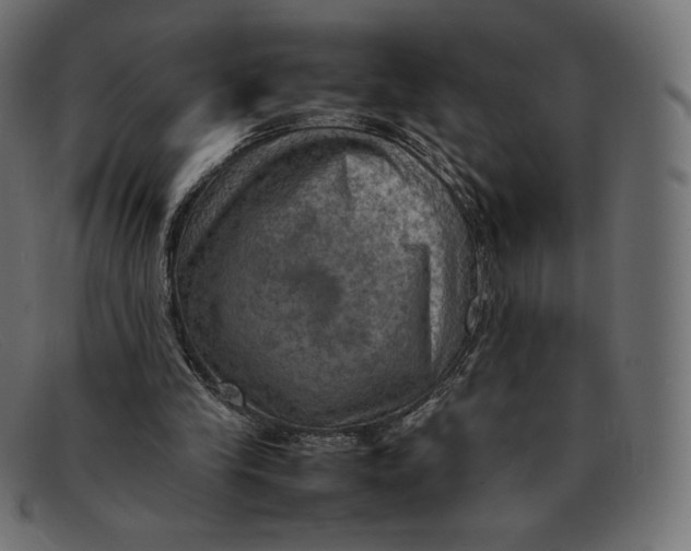 X0000092050245200710101021