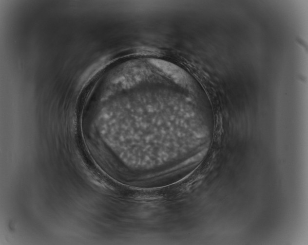 X0000092050247200710101021