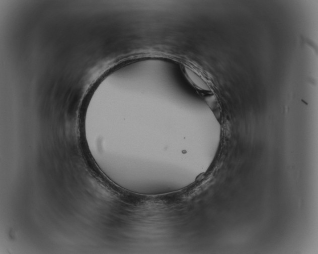 X0000092050248200710101021