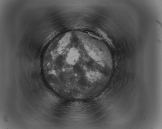 X0000092050250200710101021