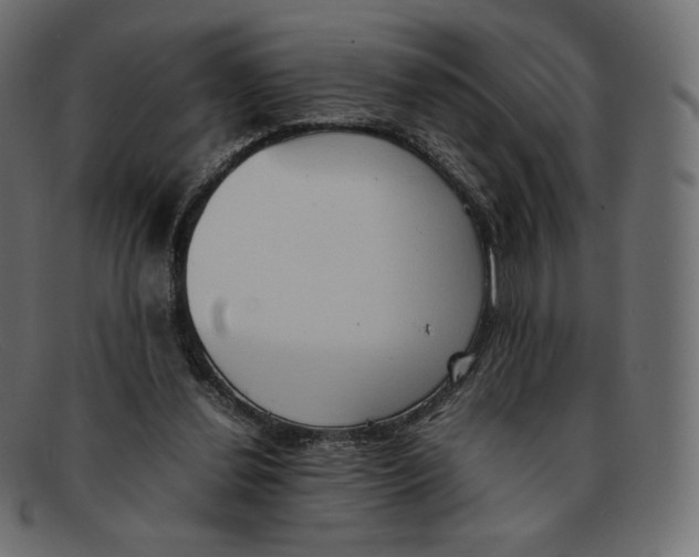 X0000092050252200710101021