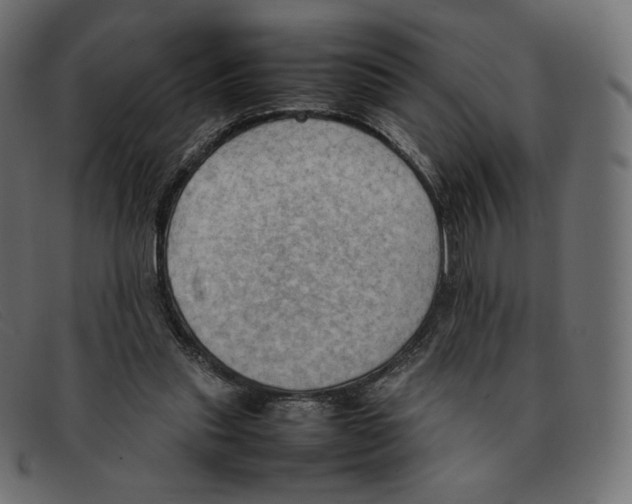 X0000092050253200710101021