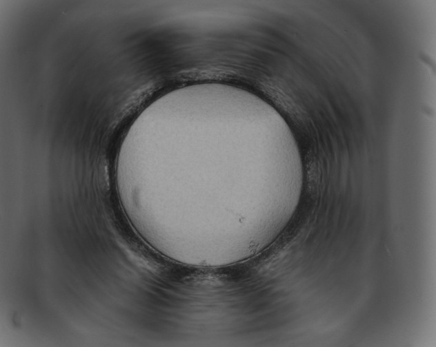 X0000092050254200710101021