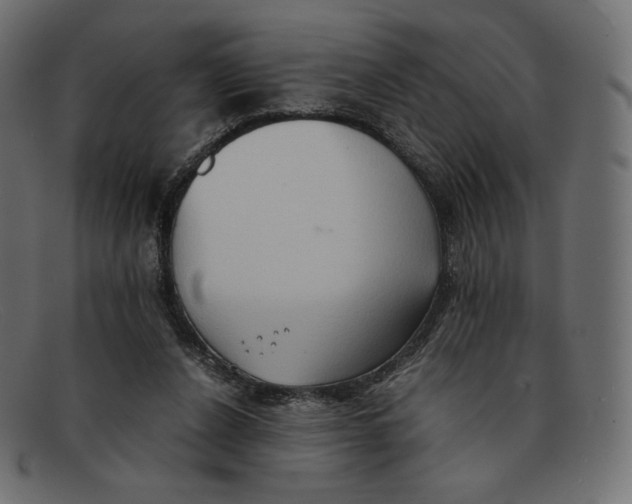 X0000092050256200710101021