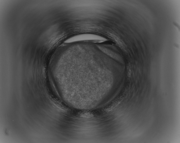 X0000092050258200710101021