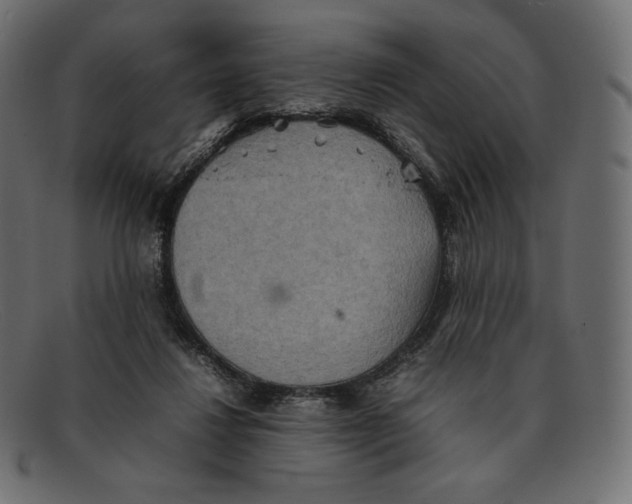 X0000092050260200710101021