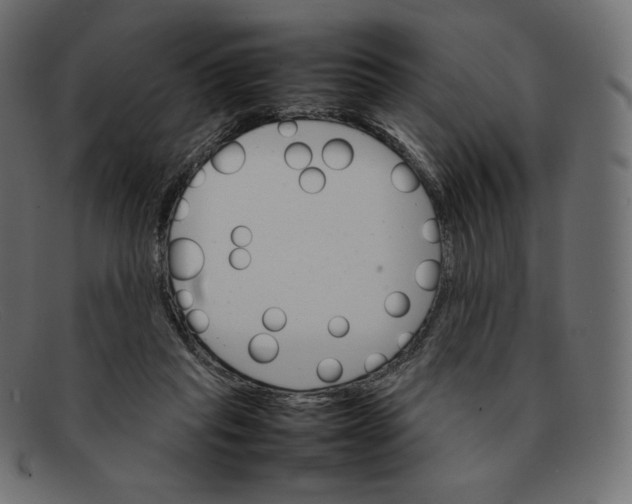 X0000092050261200710101021