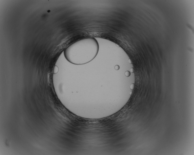 X0000092050262200710101021