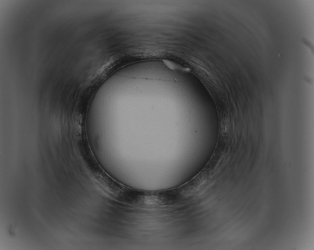 X0000092050264200710101021