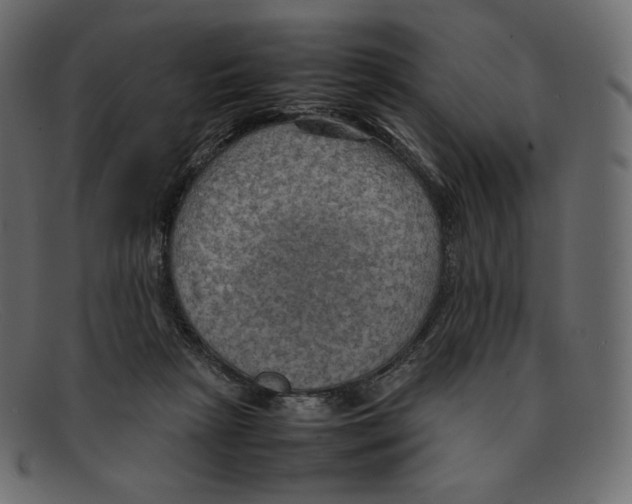 X0000092050265200710101021