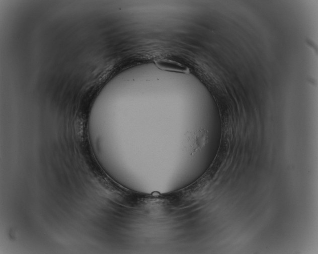 X0000092050268200710101021