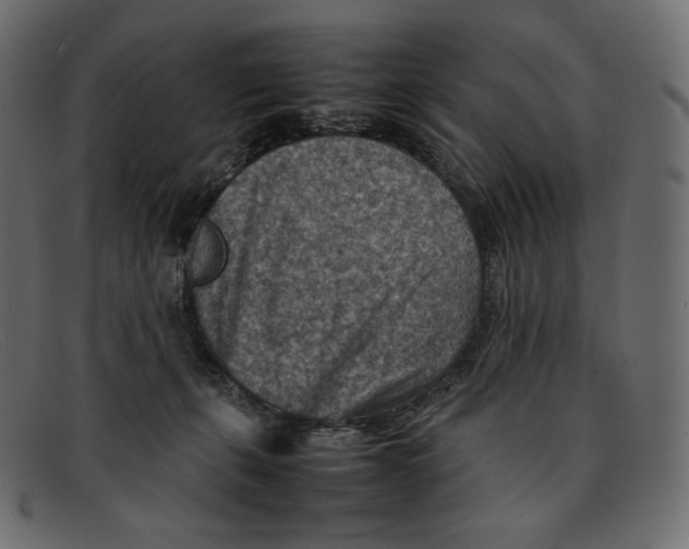 X0000092050271200710101021