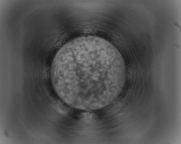 X0000092050272200710101021