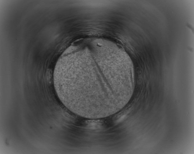 X0000092050273200710101021