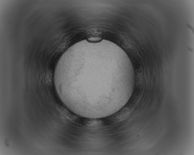 X0000092050274200710101021