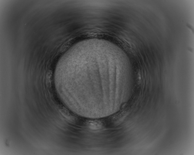 X0000092050275200710101021