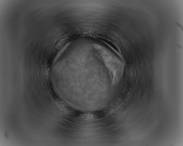 X0000092050276200710101021