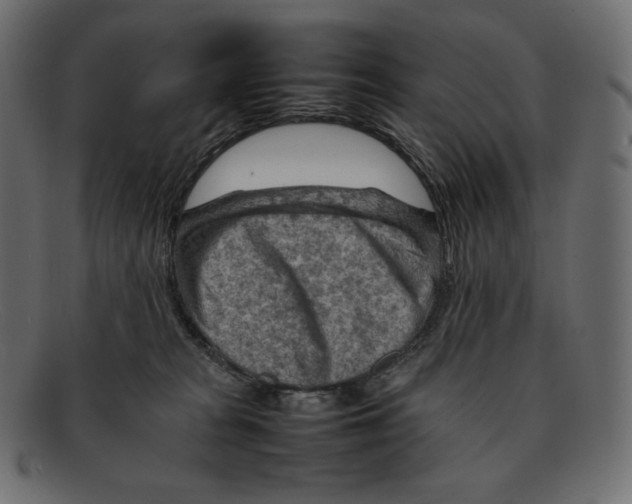 X0000092050277200710101021