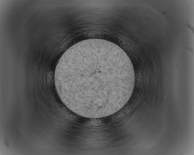 X0000092050278200710101021