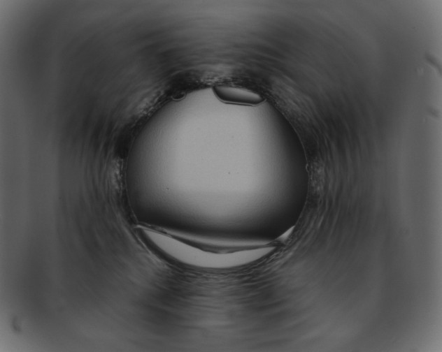 X0000092050280200710101021