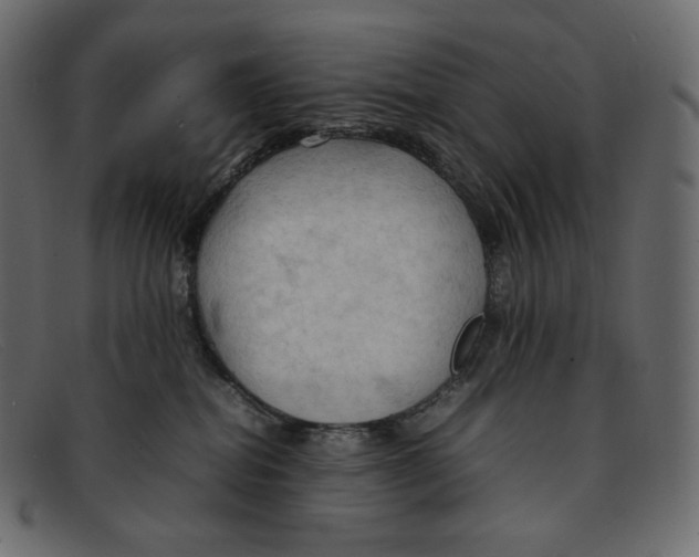 X0000092050282200710101021