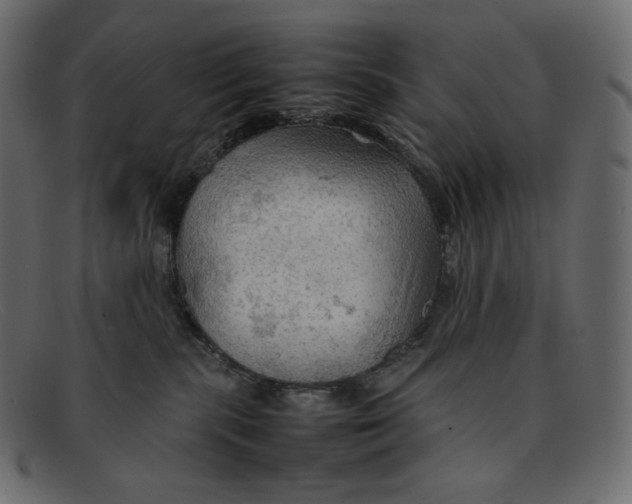 X0000092050283200710101021