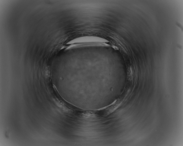 X0000092050284200710101021