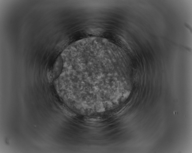 X0000092050285200710101021