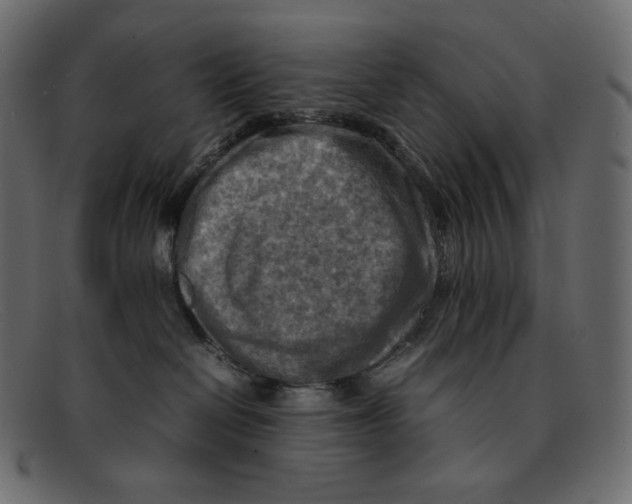 X0000092050286200710101021