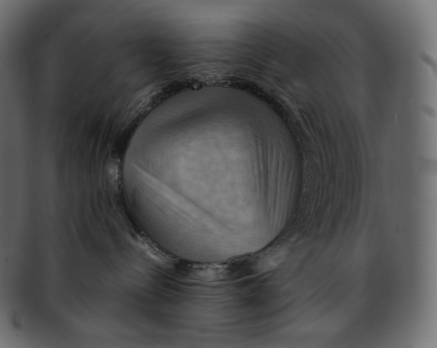 X0000092050288200710101021