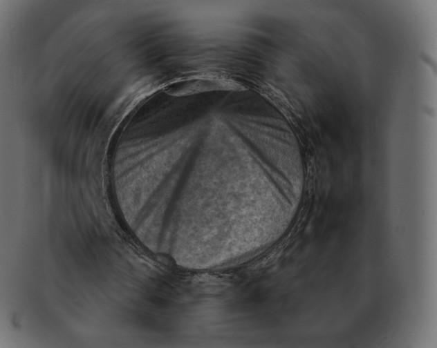 X0000092050290200710101021