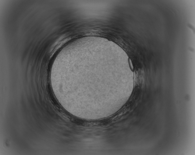 X0000092050291200710101021