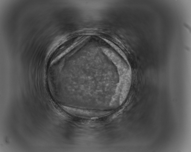 X0000092050293200710101021