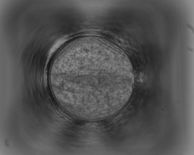 X0000092050294200710101020