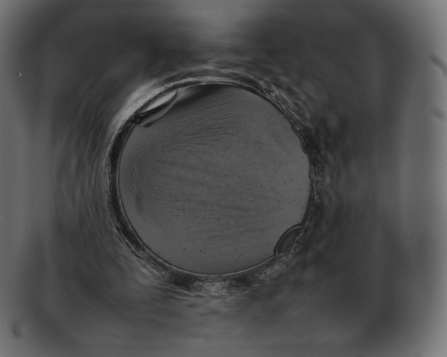 X0000092050295200710101020