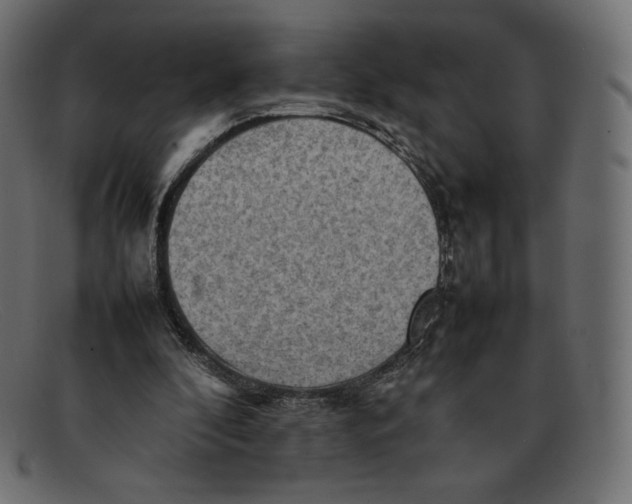 X0000092050296200710101020