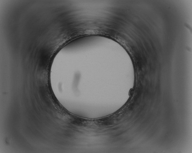 X0000092050297200710101020